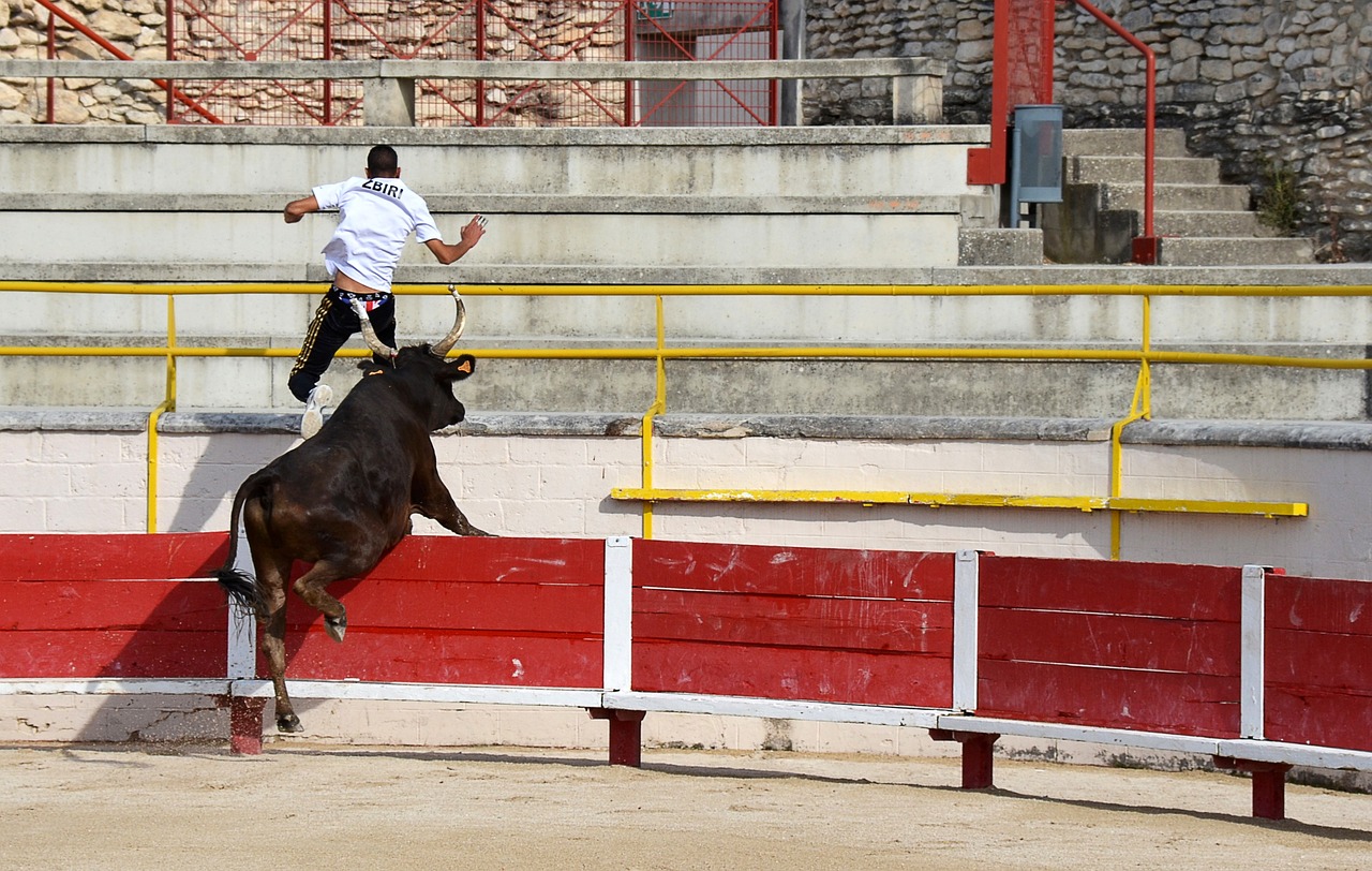 斯在战术风